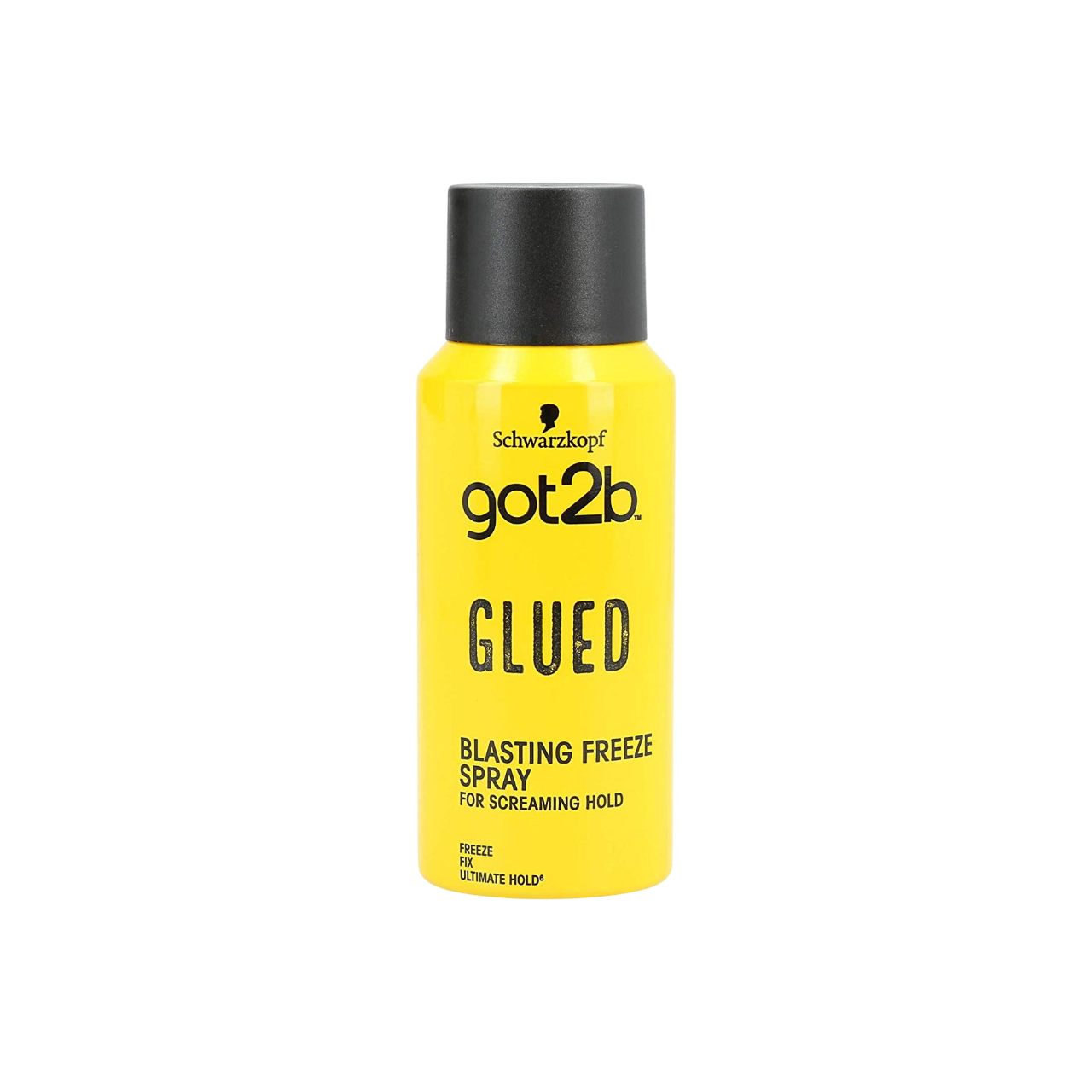 Schwarzkopf Got2b Mini Spray 100ML